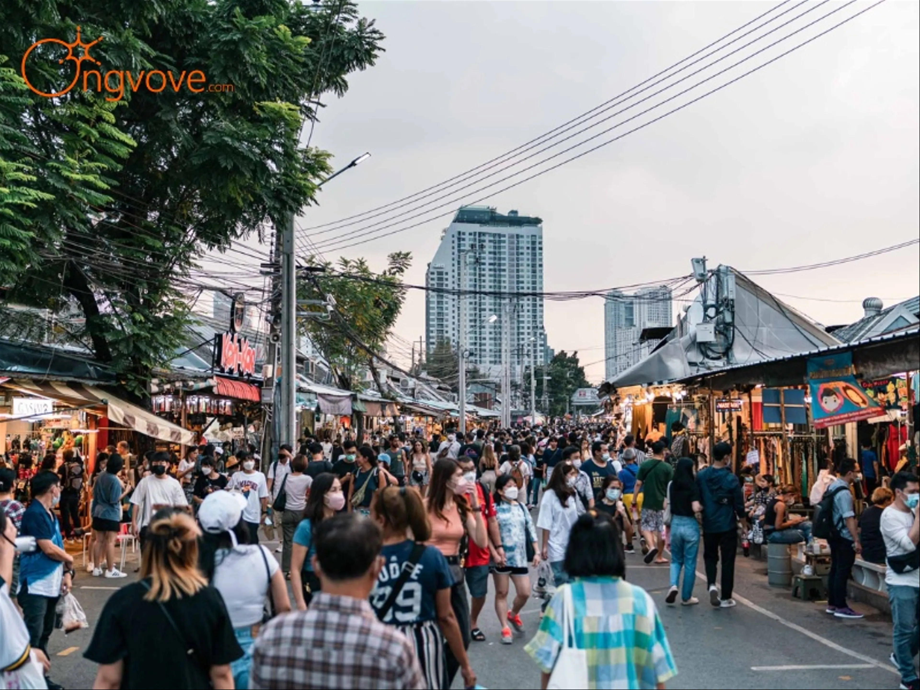 10 Trải Nghiệm Không Thể Bỏ Lỡ Tại Chợ Đêm Chatuchak, Thái Lan