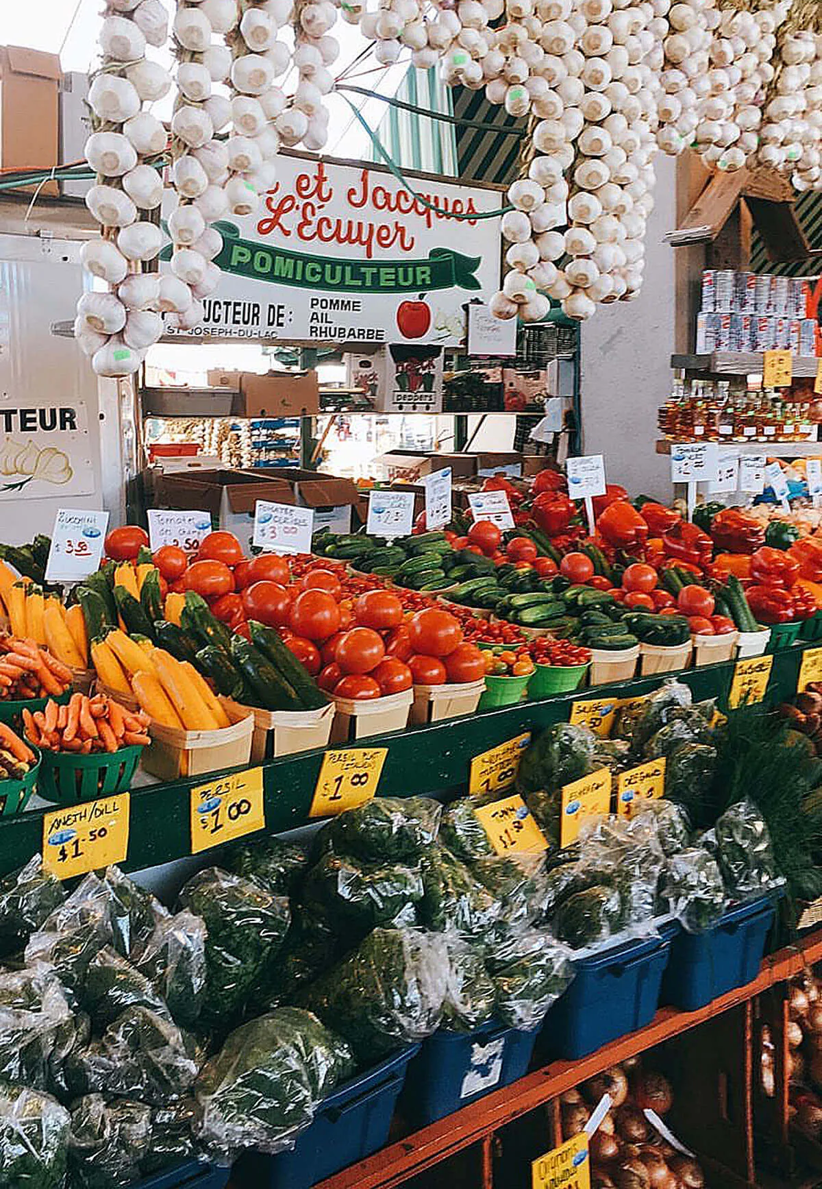 Exploring The Diverse Food Markets of Montréal