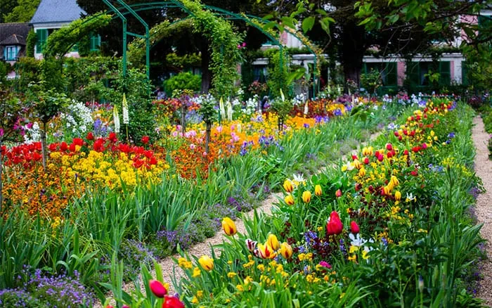 The Flower Garden: A Symphony of Colors and Fragrances