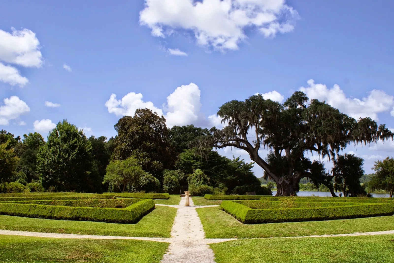 Exploring the Gardens of Middleton Place