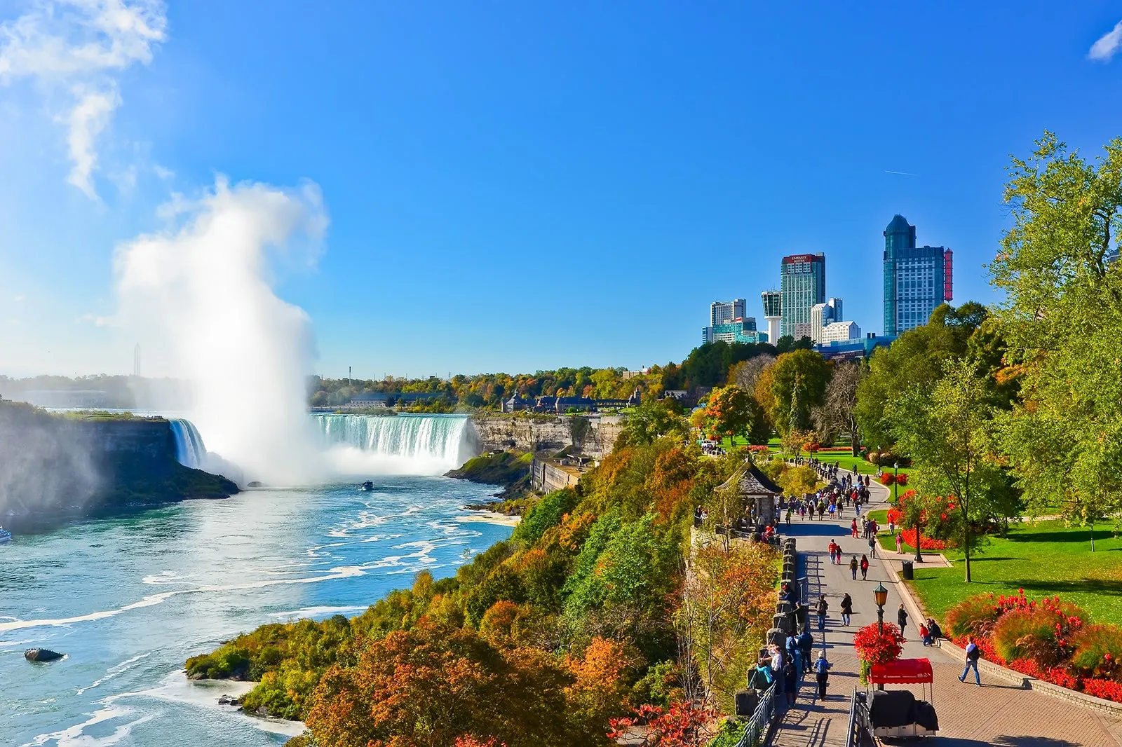 Nearby Attractions and Activities