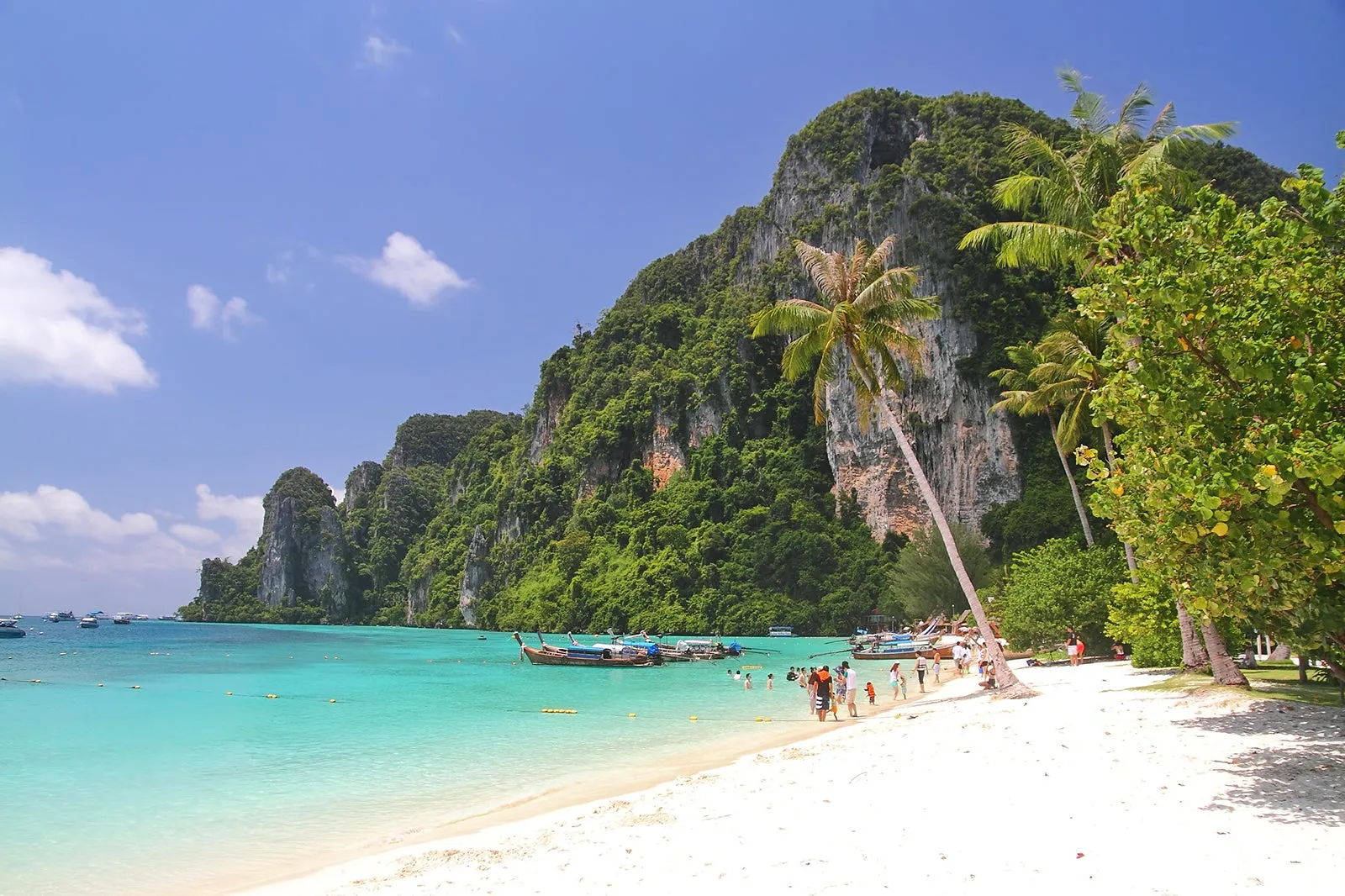 Tonsai West in Phi Phi - Everything You Need to Know About Tonsai West – Go Guides