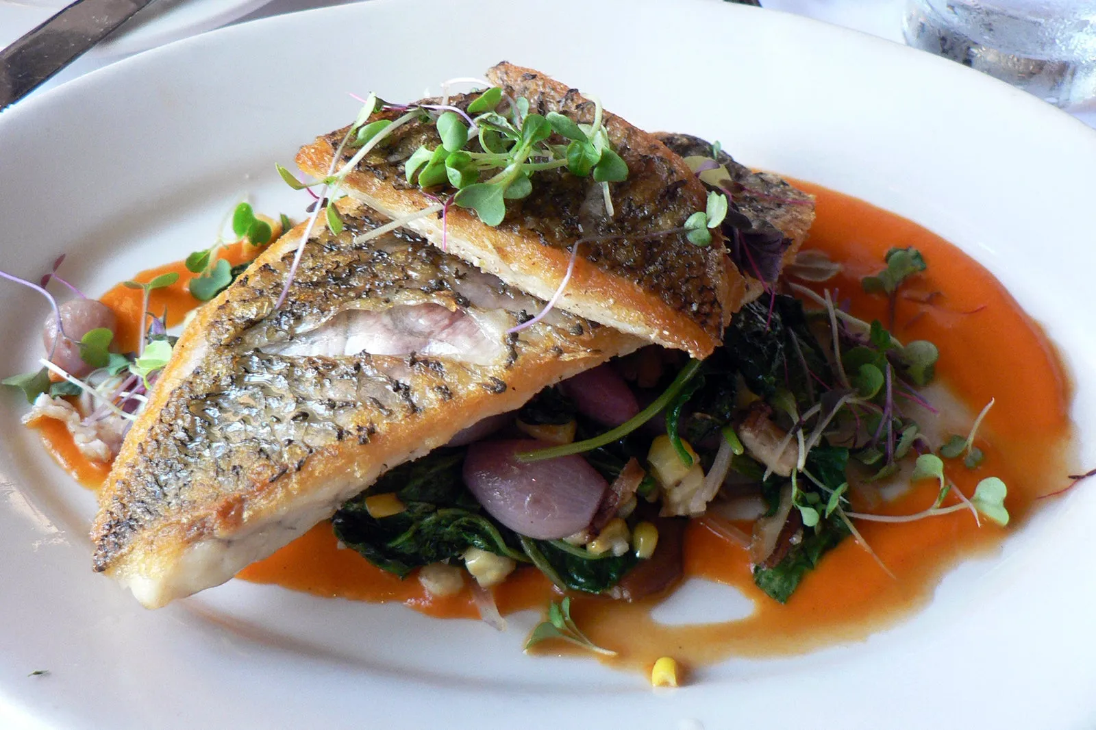 Culinary Adventures: Sydney's Best Local Eateries