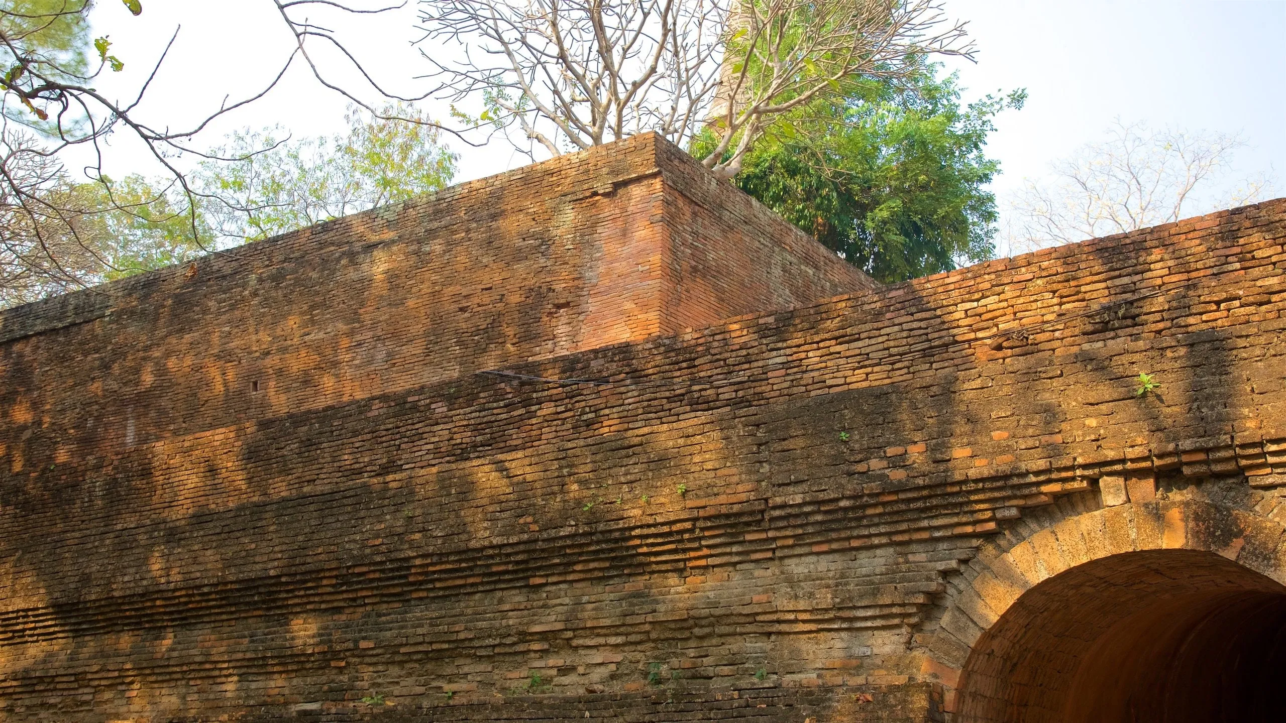 Chùa Wat Umong tại Chiang Mai | Expedia