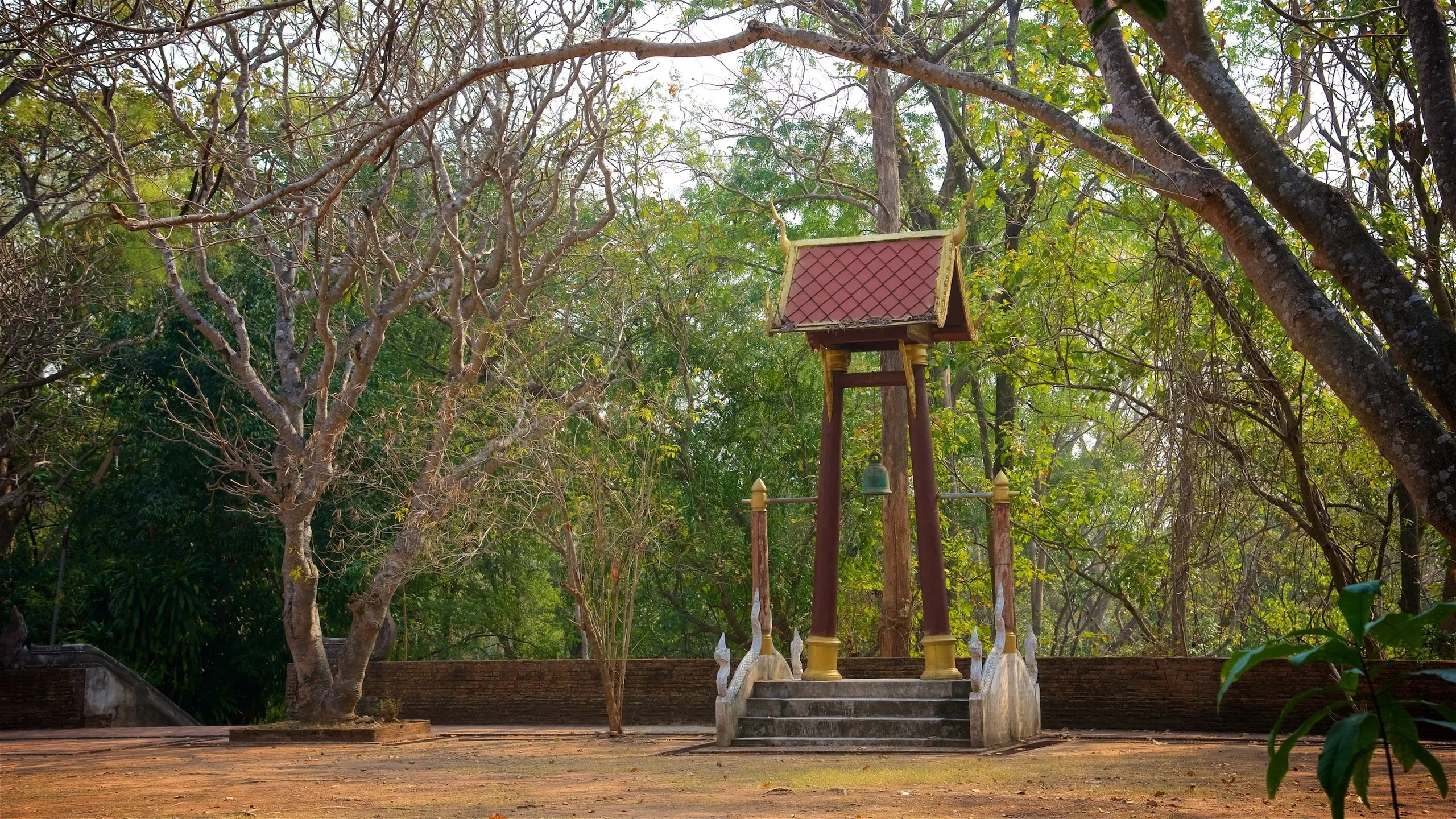 Chùa Wat Umong tại Chiang Mai | Expedia