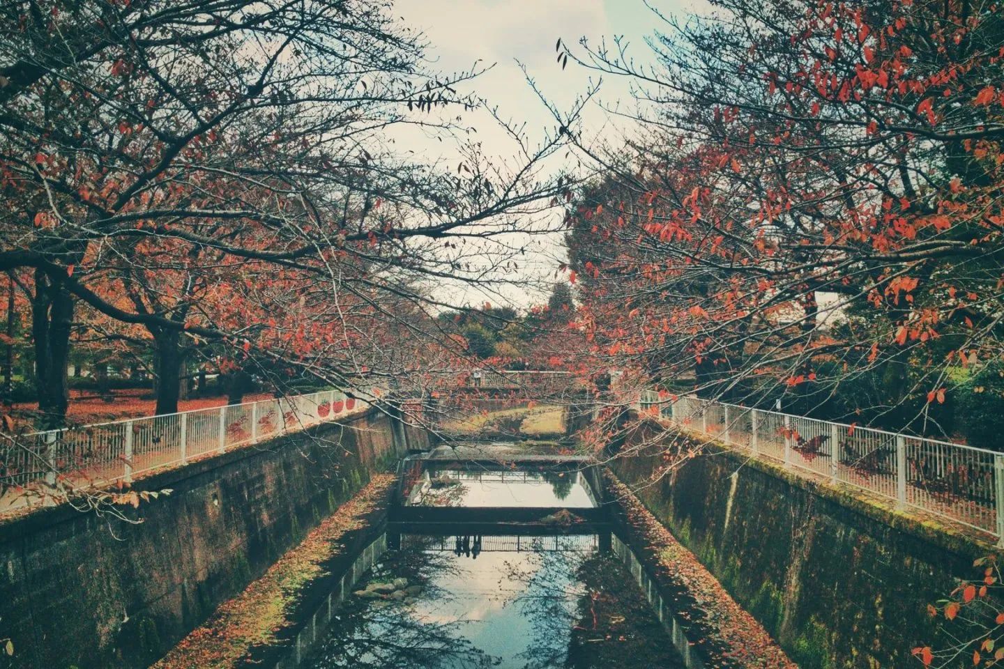 Nearby Attractions in Mitaka