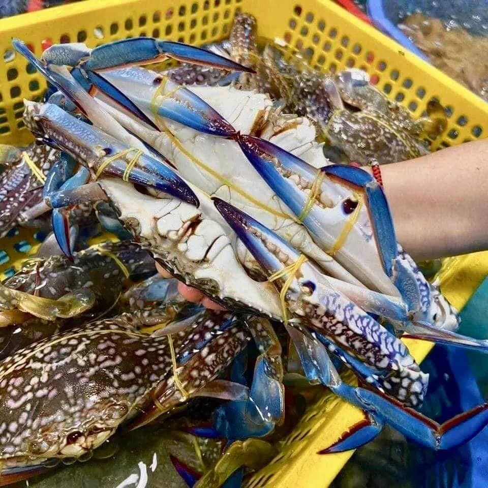 Bí Quyết Mua Sắm Hải Sản Tươi