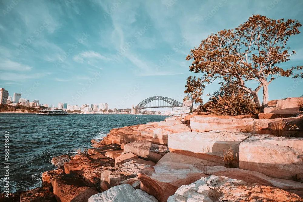 The Enchanting Views from Barangaroo Reserve