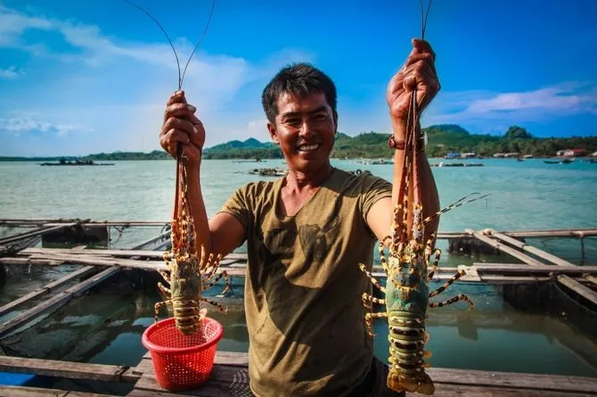 Những điều không nên bỏ qua khi đến đảo Bình Ba - Cẩm Nang Du Lịch