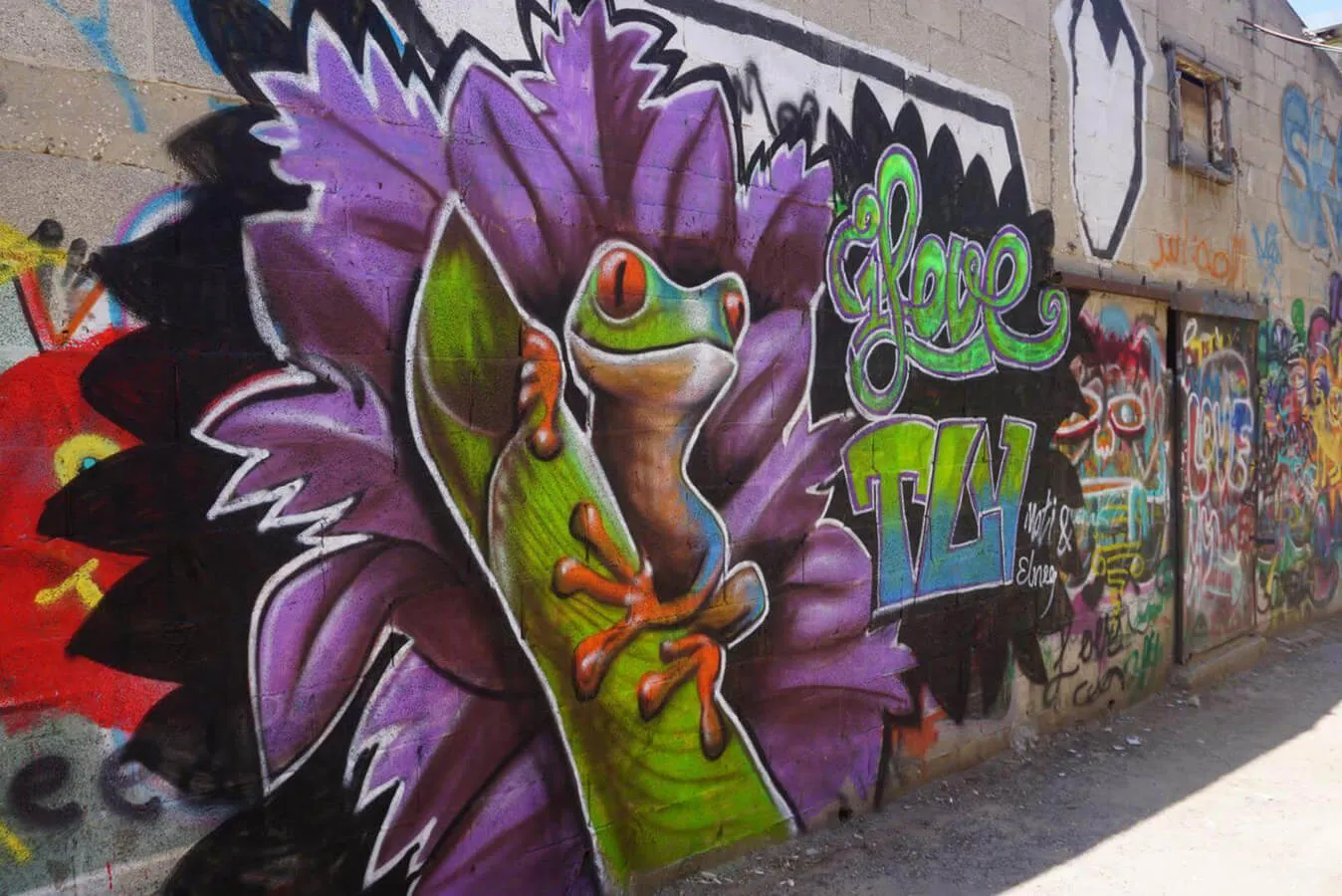 Kinh nghiệm và mẹo nhỏ khi khám phá Graffiti Tour
