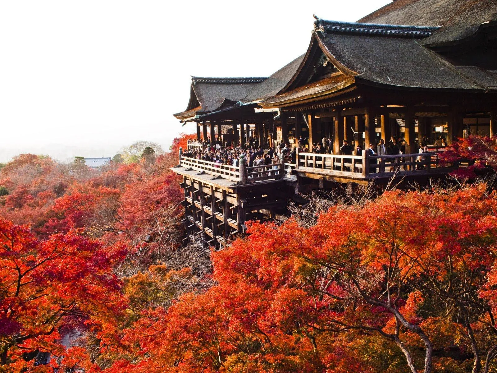Tham quan các ngôi đền và chùa cổ kính ở Kyoto