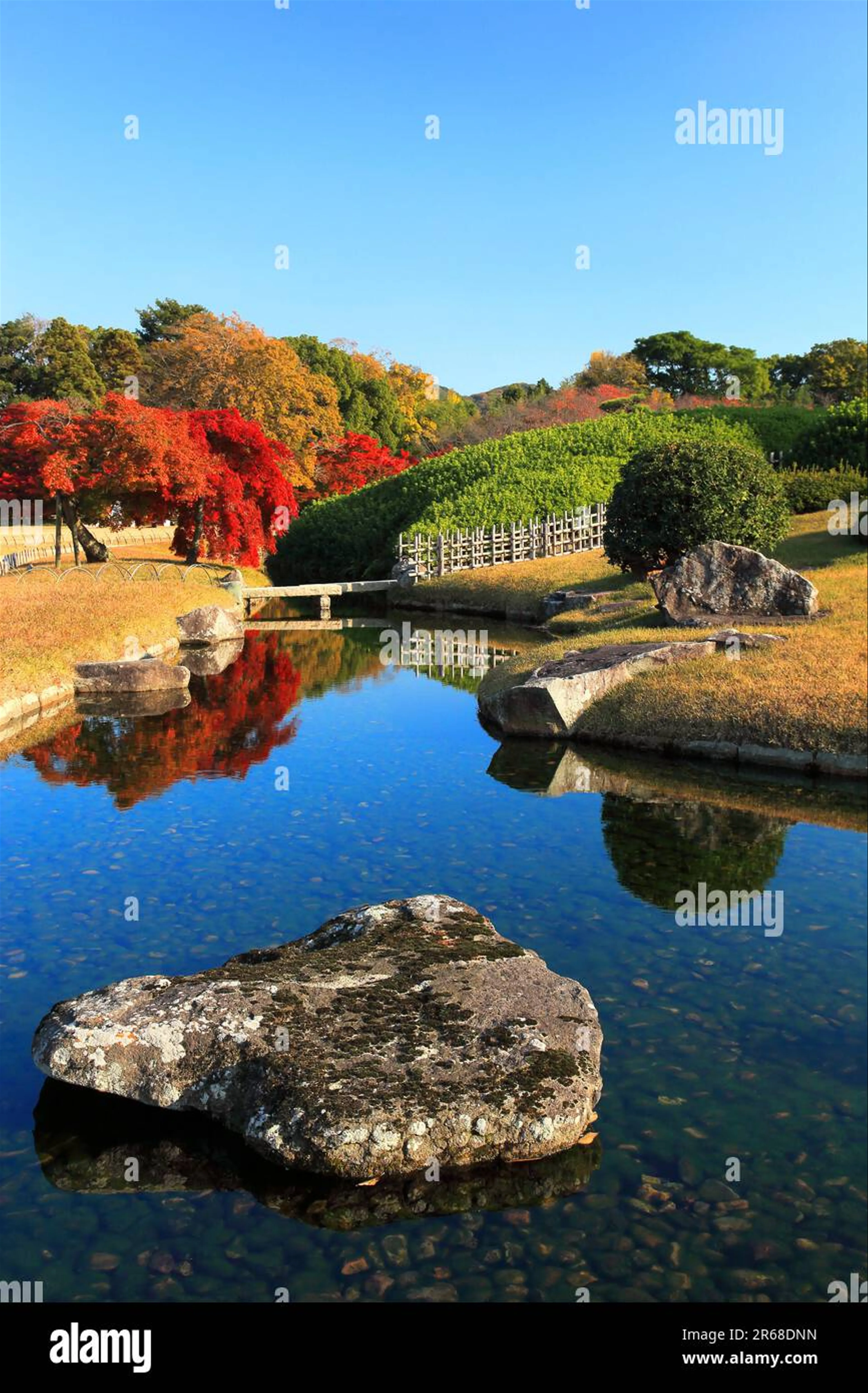 Discovering the Tranquil Beauty of Okayama's Korakuen Garden in Autumn
