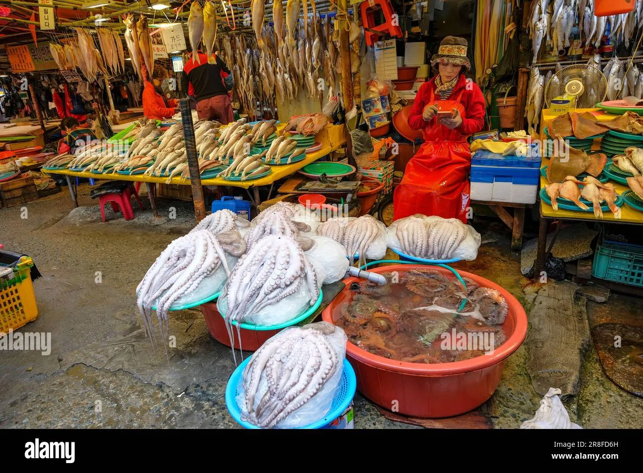 Engaging with Local Vendors and Fishermen
