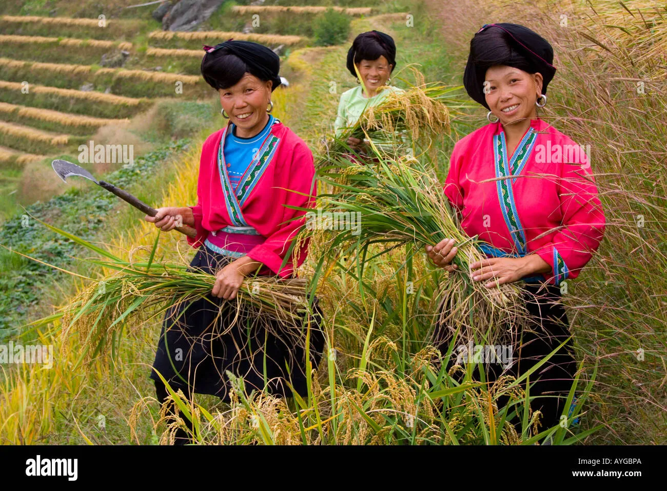 The Ingenious Agricultural Practices of the Zhuang and Yao People
