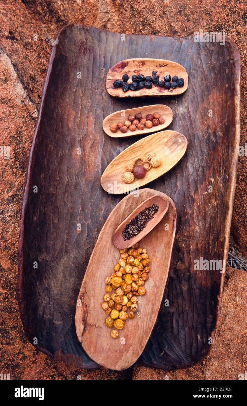 The Rich History of Bush Tucker and Its Modern Revival