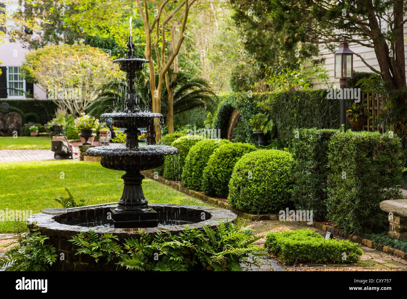 The Historical Allure of Charleston's Gardens