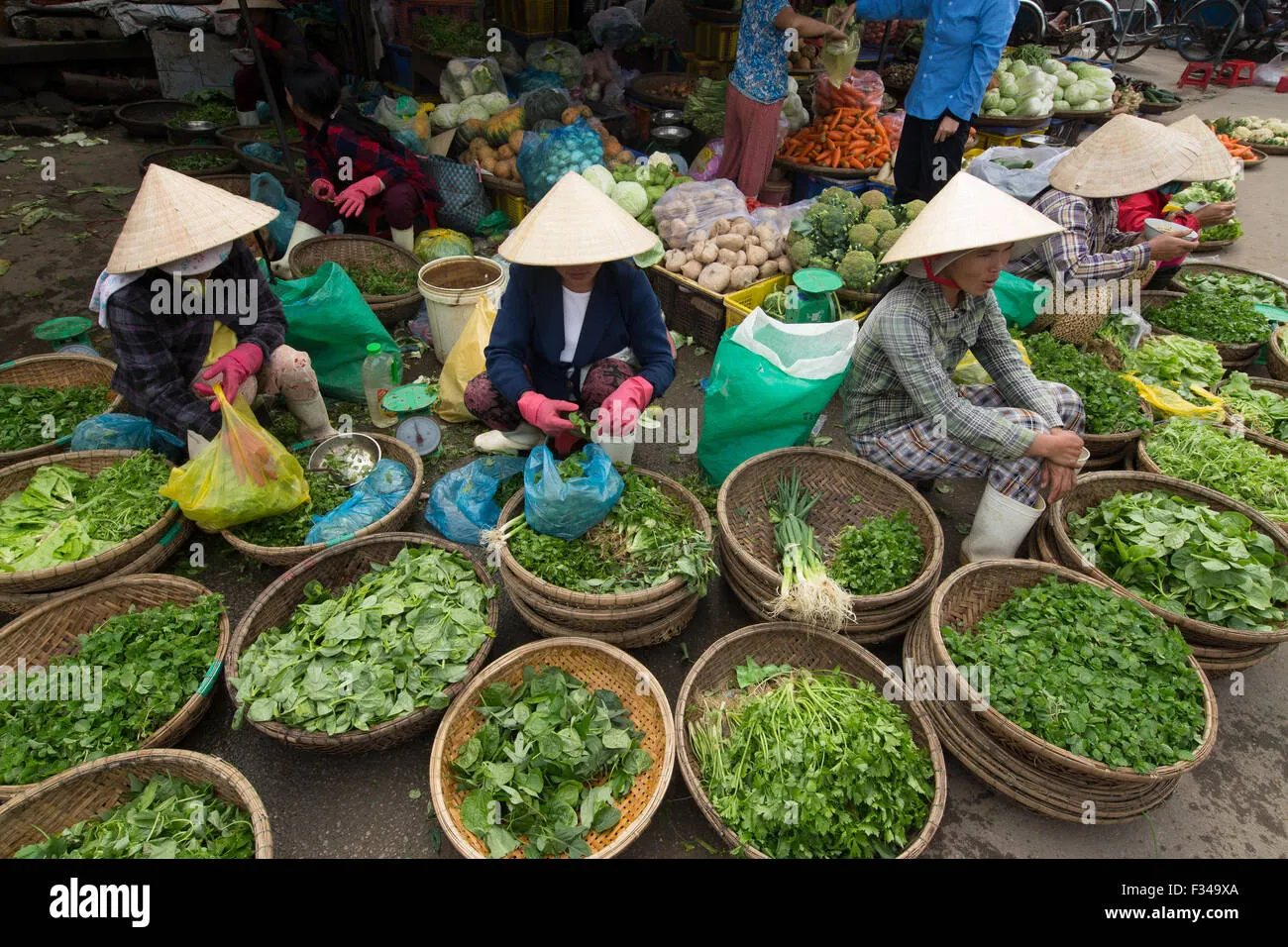 Exploring Hue's Vibrant Markets