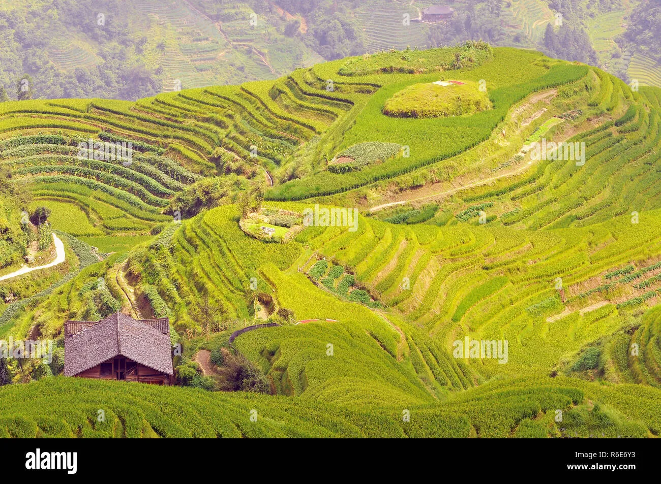 Photography Tips: Capturing the Essence of Longji