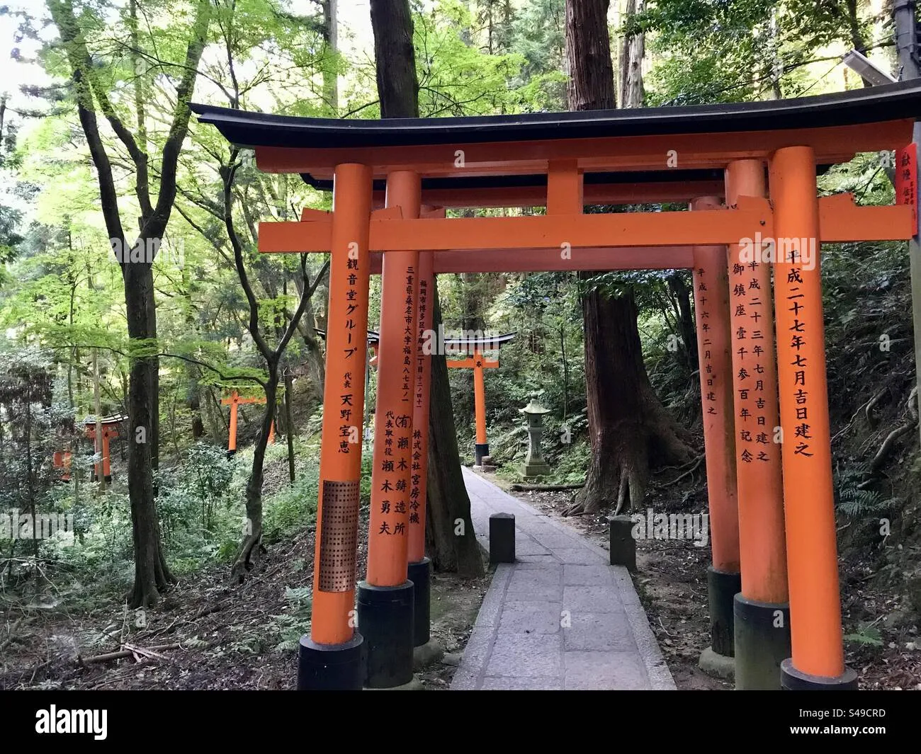 Navigating the Iconic Torii Gate Pathways