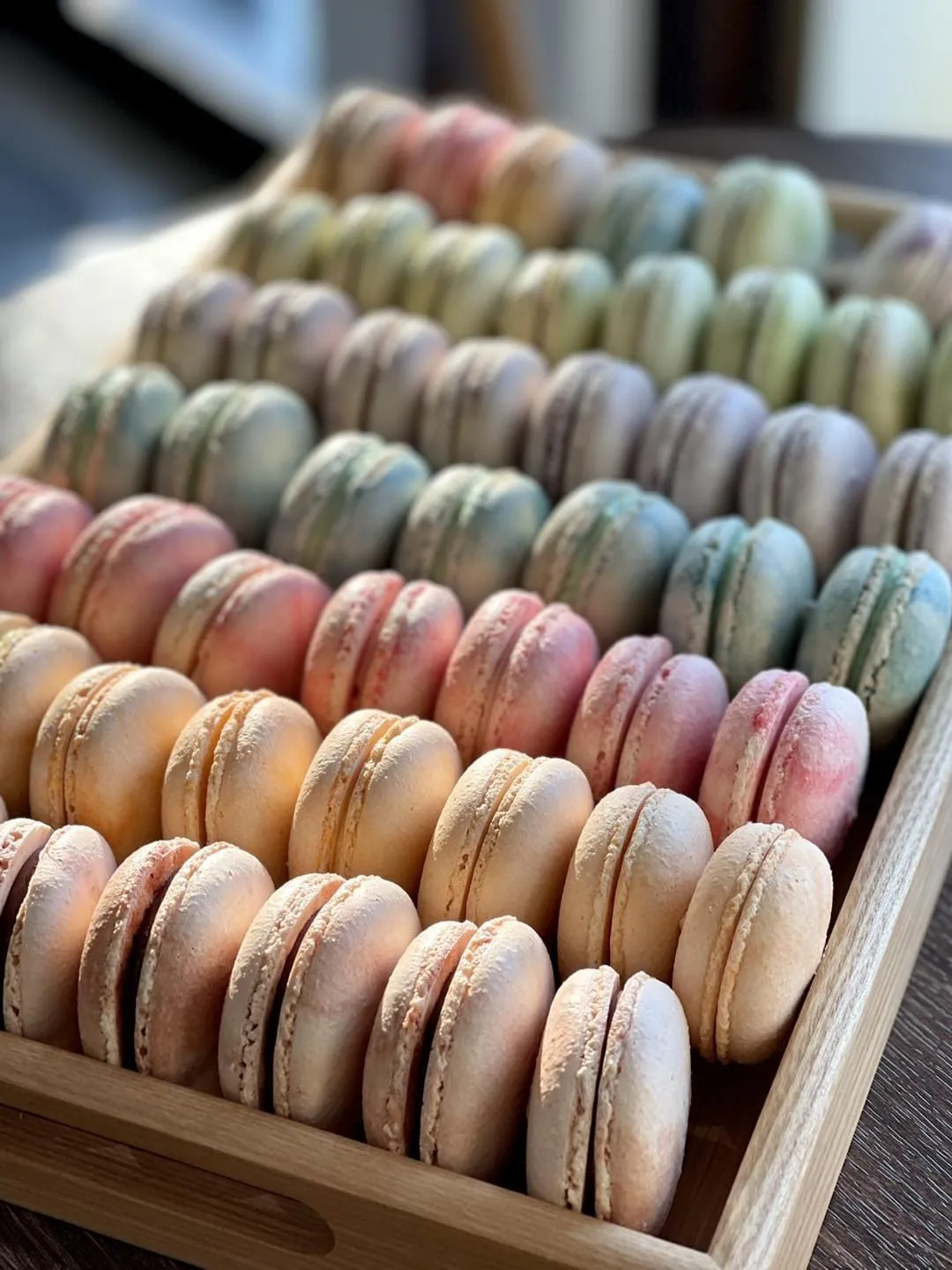 Tiệm bánh macaron ẩn mình: Những viên ngọc bị lãng quên