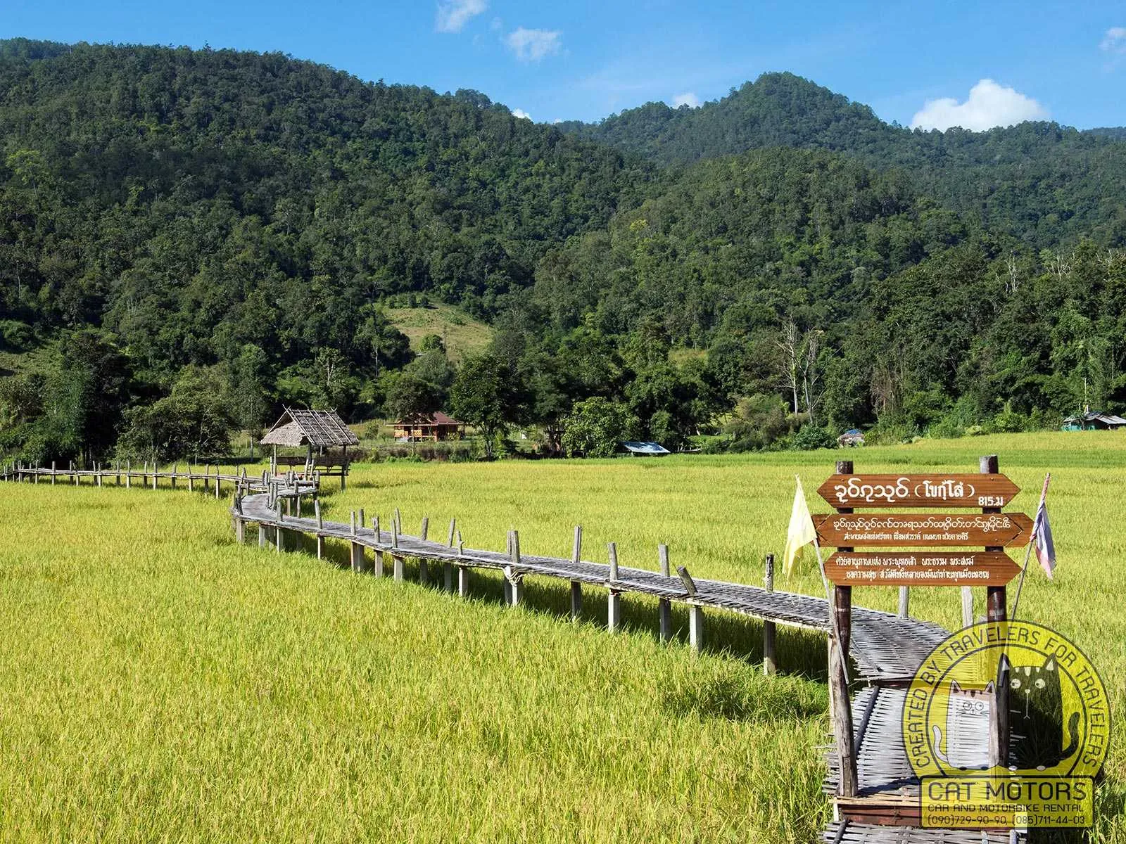 Tips for a Memorable Visit to the Bamboo Bridges