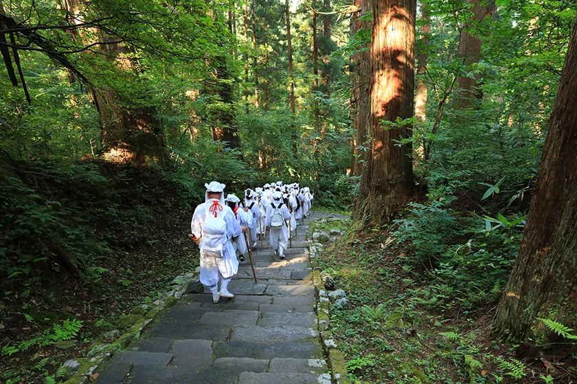 Practical Travel Tips for Visiting Dewa Sanzan