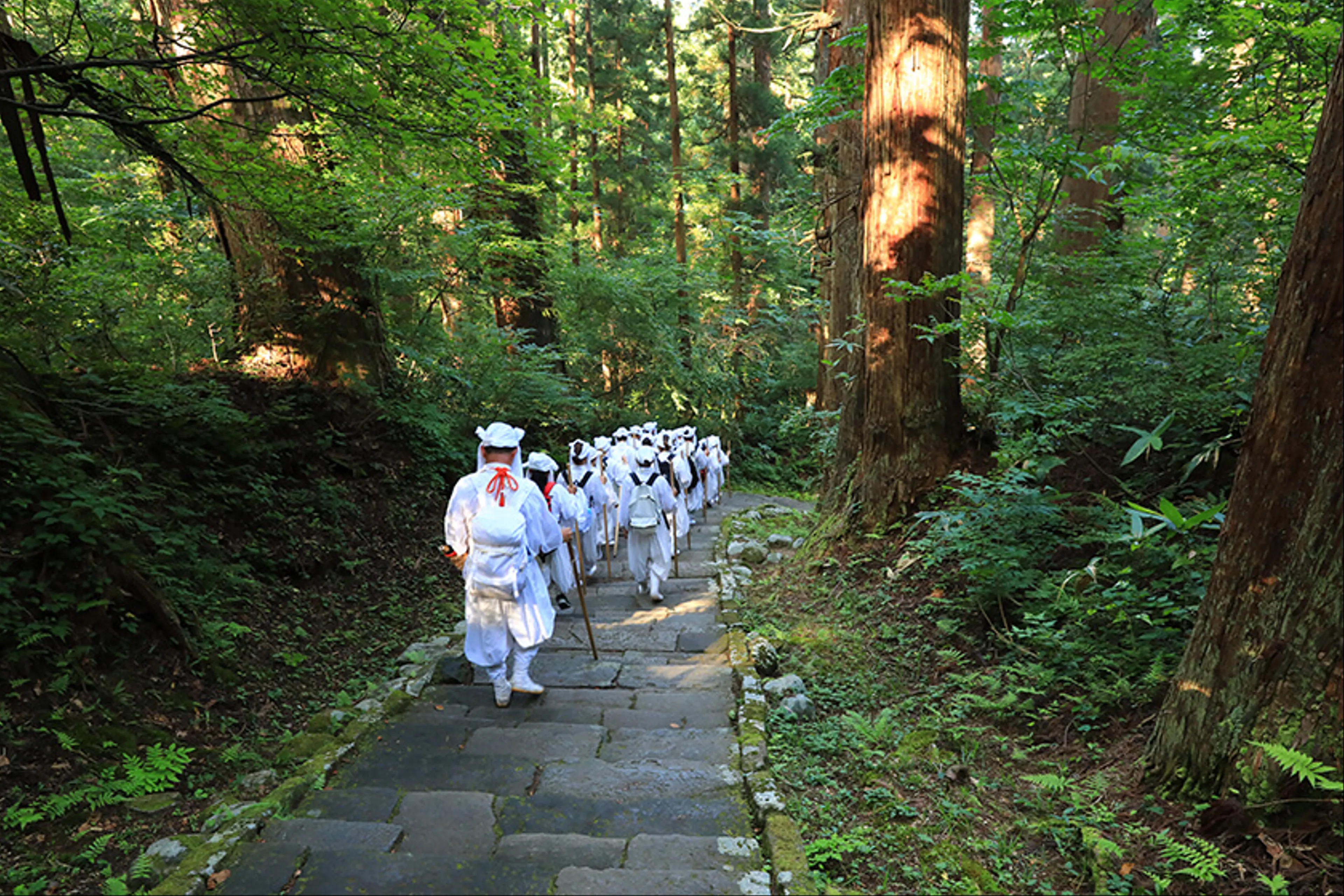 Unearthing the Spiritual Serenity of Dewa Sanzan's Sacred Mountains