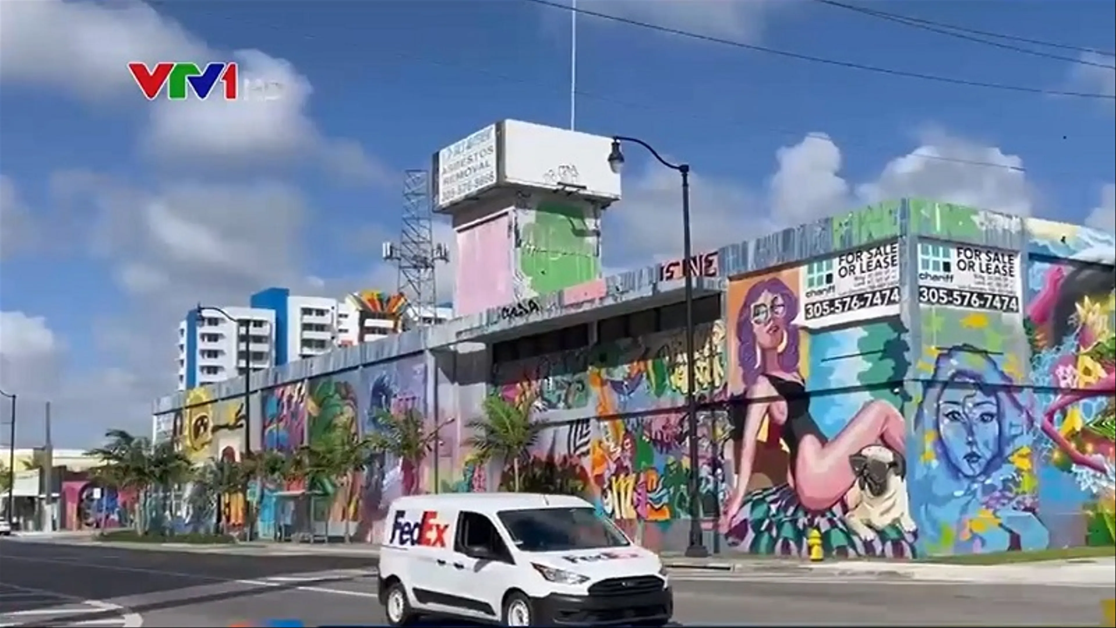 Lạc Bước Vào Thế Giới Nghệ Thuật Đường Phố Wynwood Walls, Miami