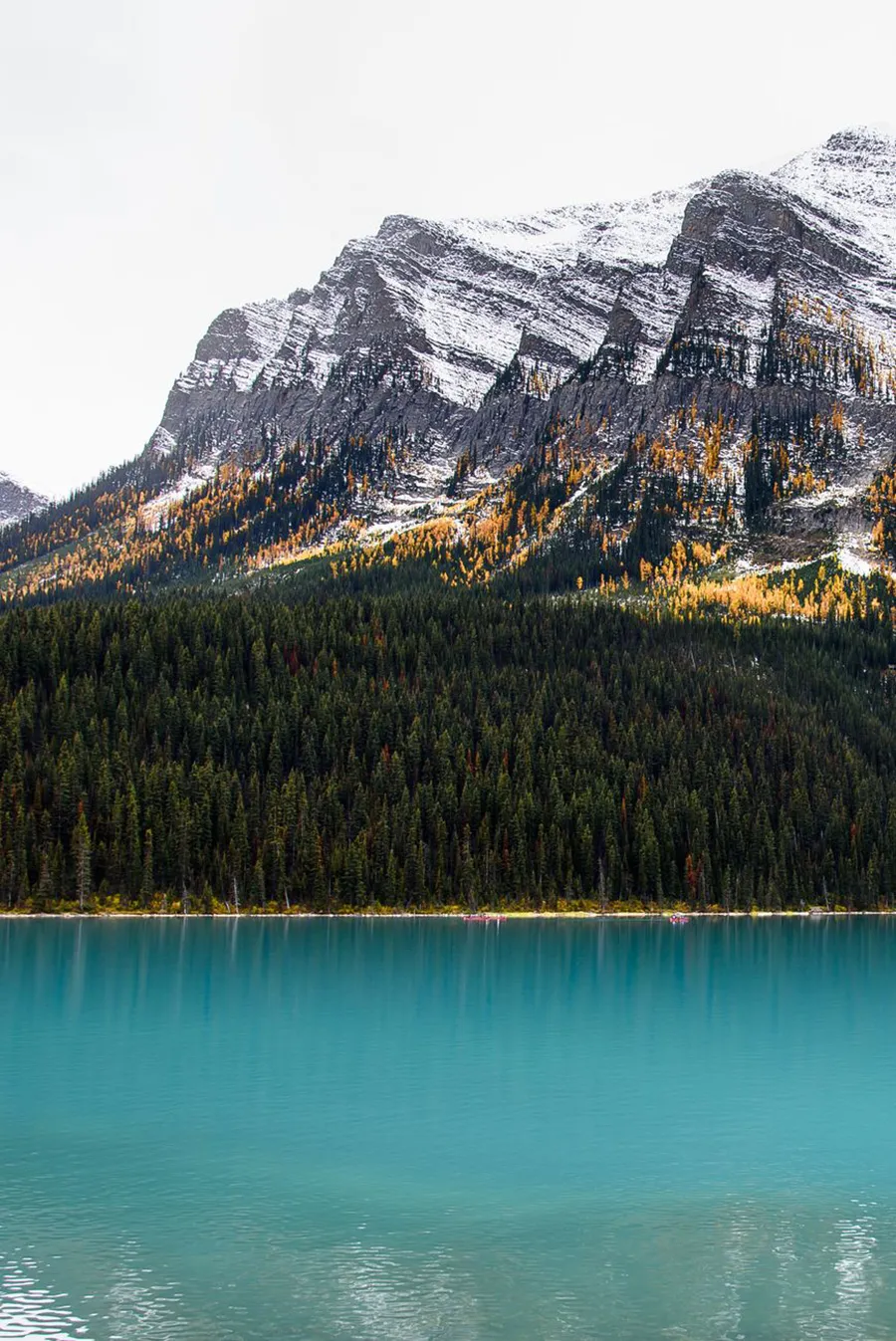 Ẩm Thực Đặc Sắc Mùa Thu Tại Banff