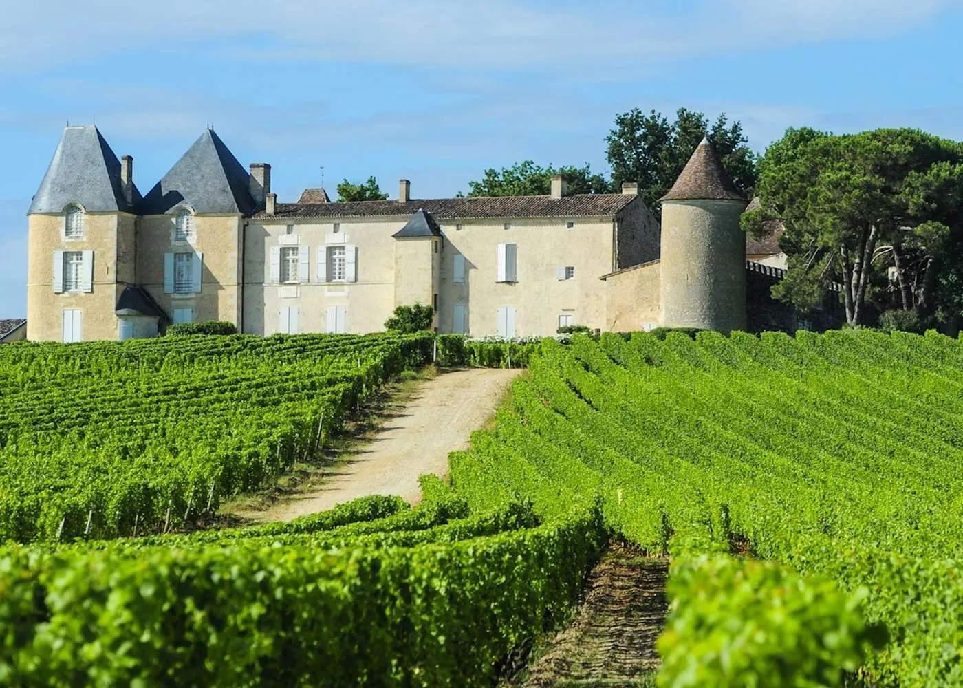 Notable Wineries and Vineyards: Must-Visit Estates in Saint-Émilion