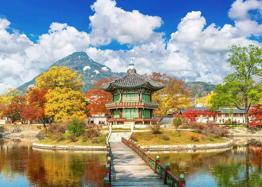 Best Times to Visit and Seasonal Highlights