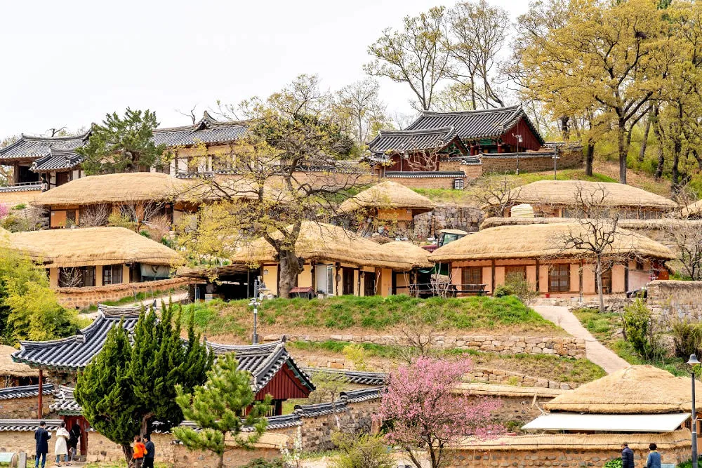Cách di chuyển đến Làng Cổ Hahoe