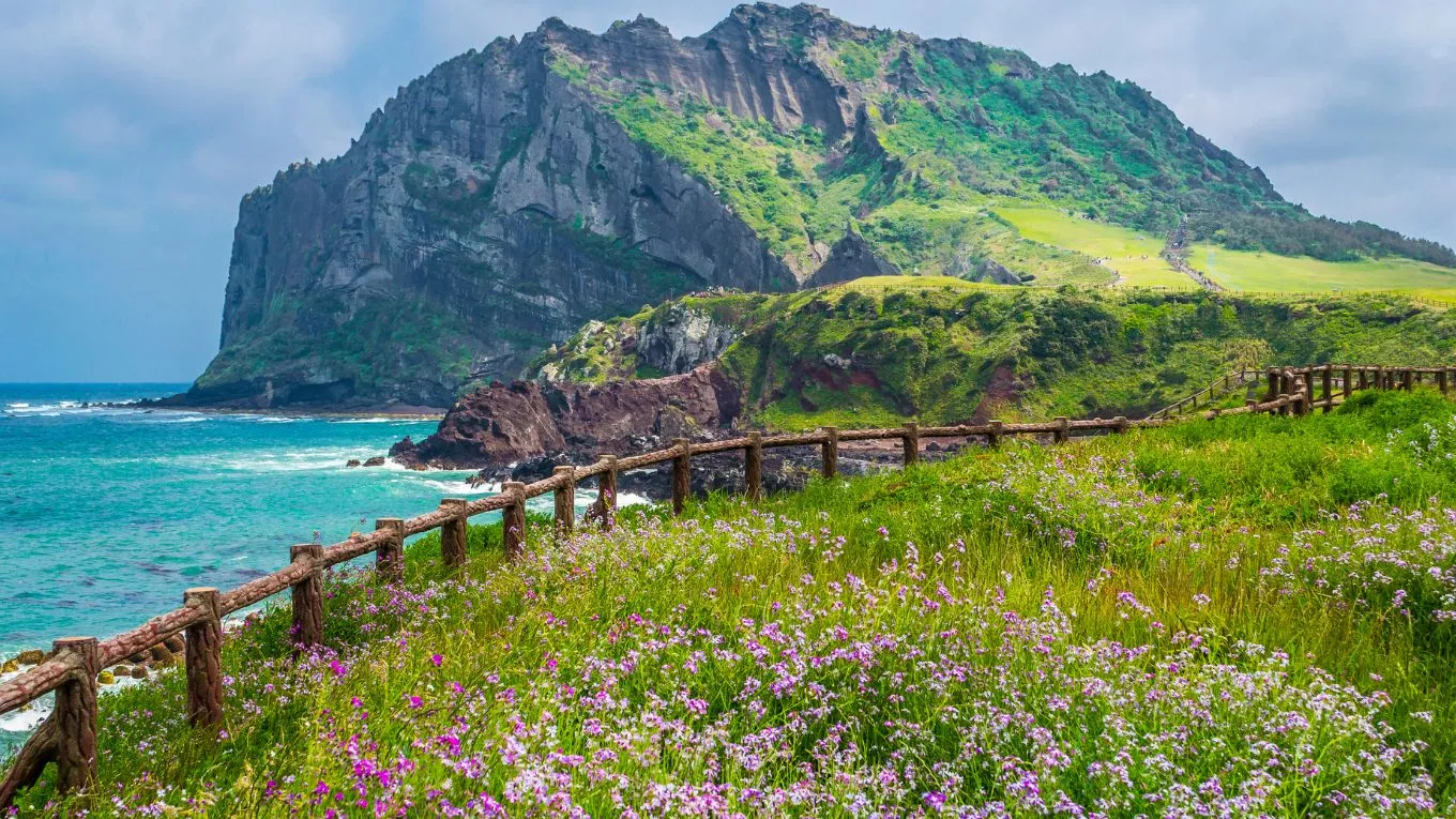Hành Trình Đến Jeju: Phương Tiện Và Lộ Trình