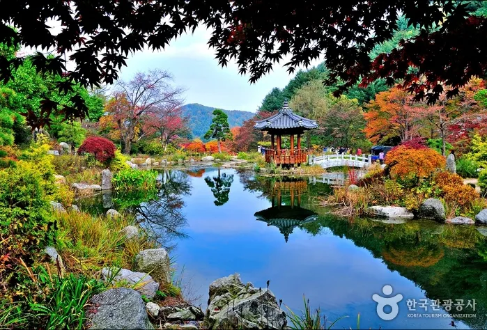 Unwinding in Nature: Parks and Gardens Around Jeonju