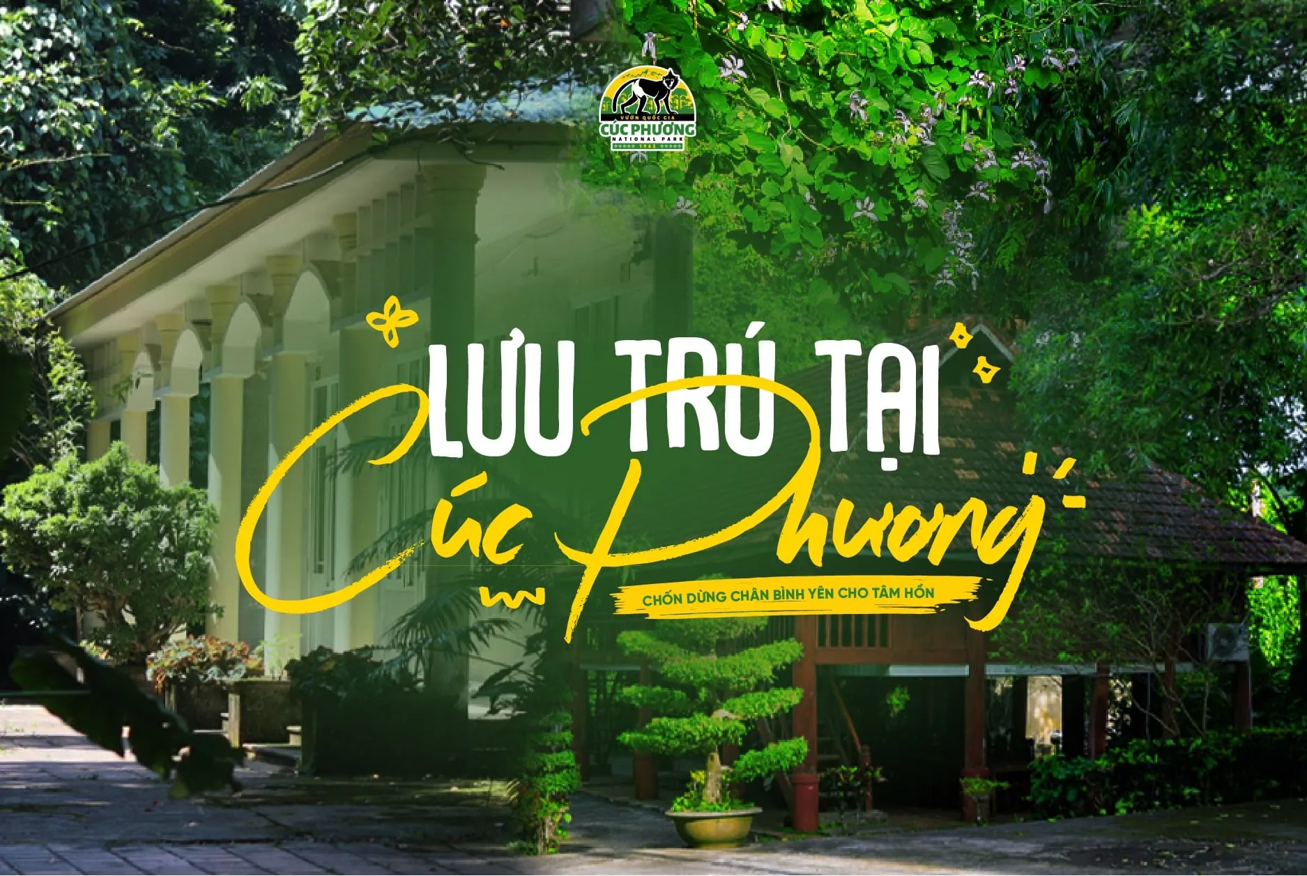 Lựa Chọn Lưu Trú Gần Daintree