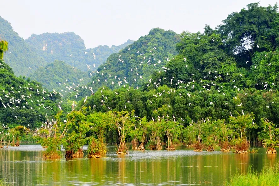 Giới thiệu về khu vườn chim Thung Nham
