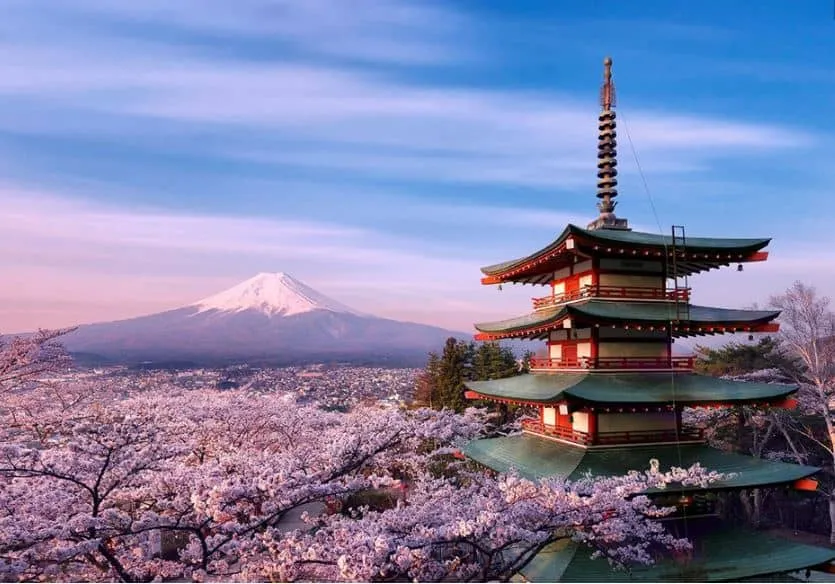 Mẹo du lịch và lưu ý khi thăm Arashiyama