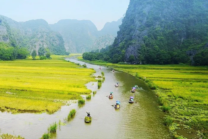 Hướng dẫn di chuyển đến sông Ngô Đồng