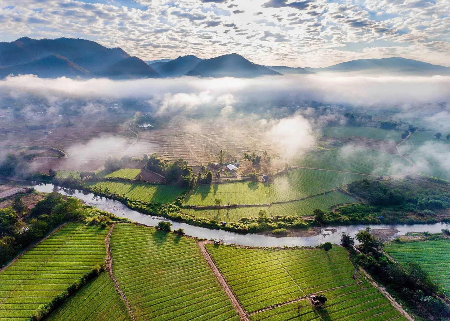 Ngắm nhìn cuộc sống thường nhật của người dân qua sông nước