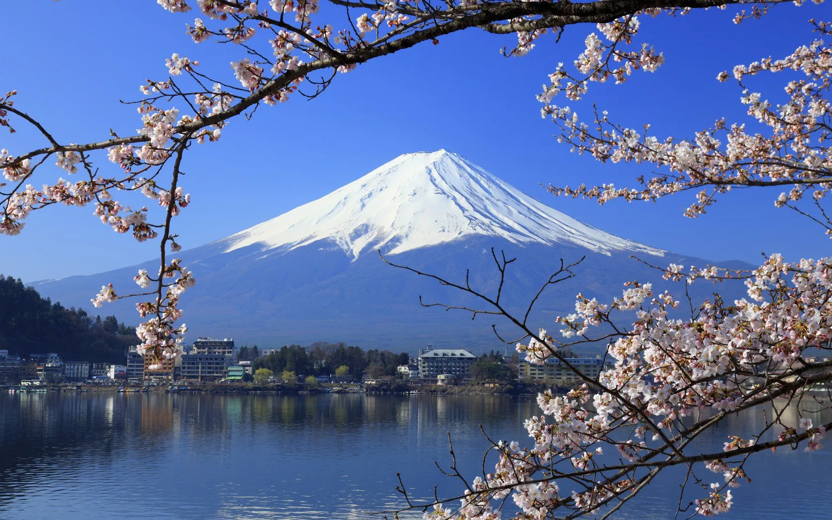 Lưu ý và mẹo du lịch hữu ích