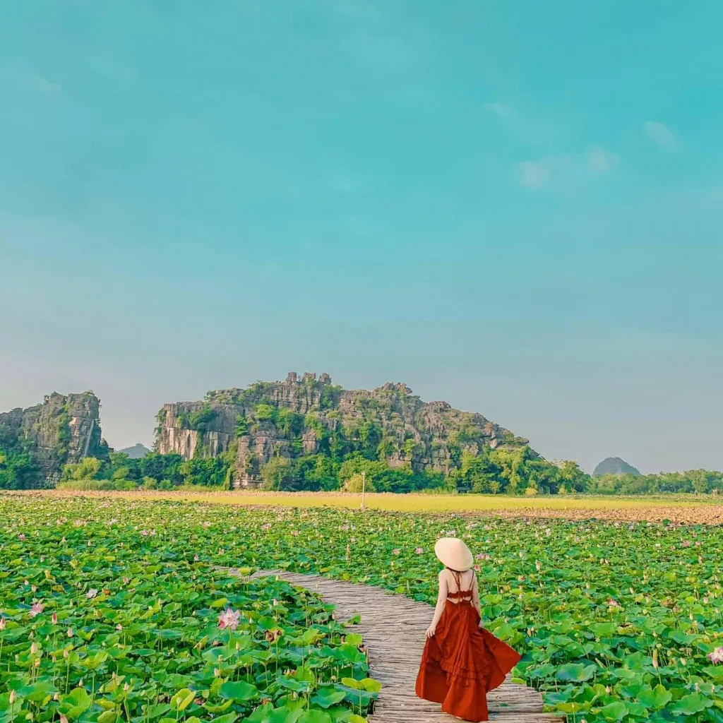 Hướng dẫn di chuyển và lưu trú