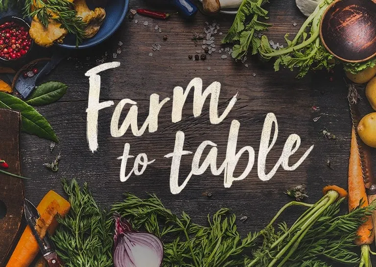 Sustainable Dining: France's Farm-to-Table Movement