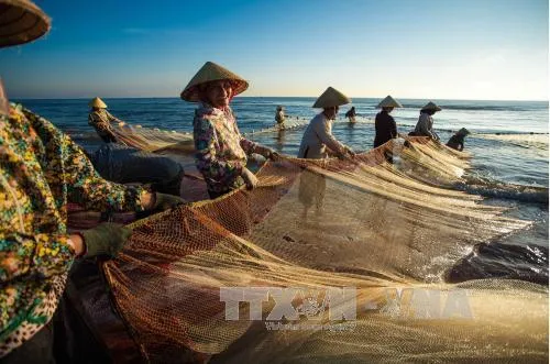 Nghề đánh bắt cá và chợ hải sản