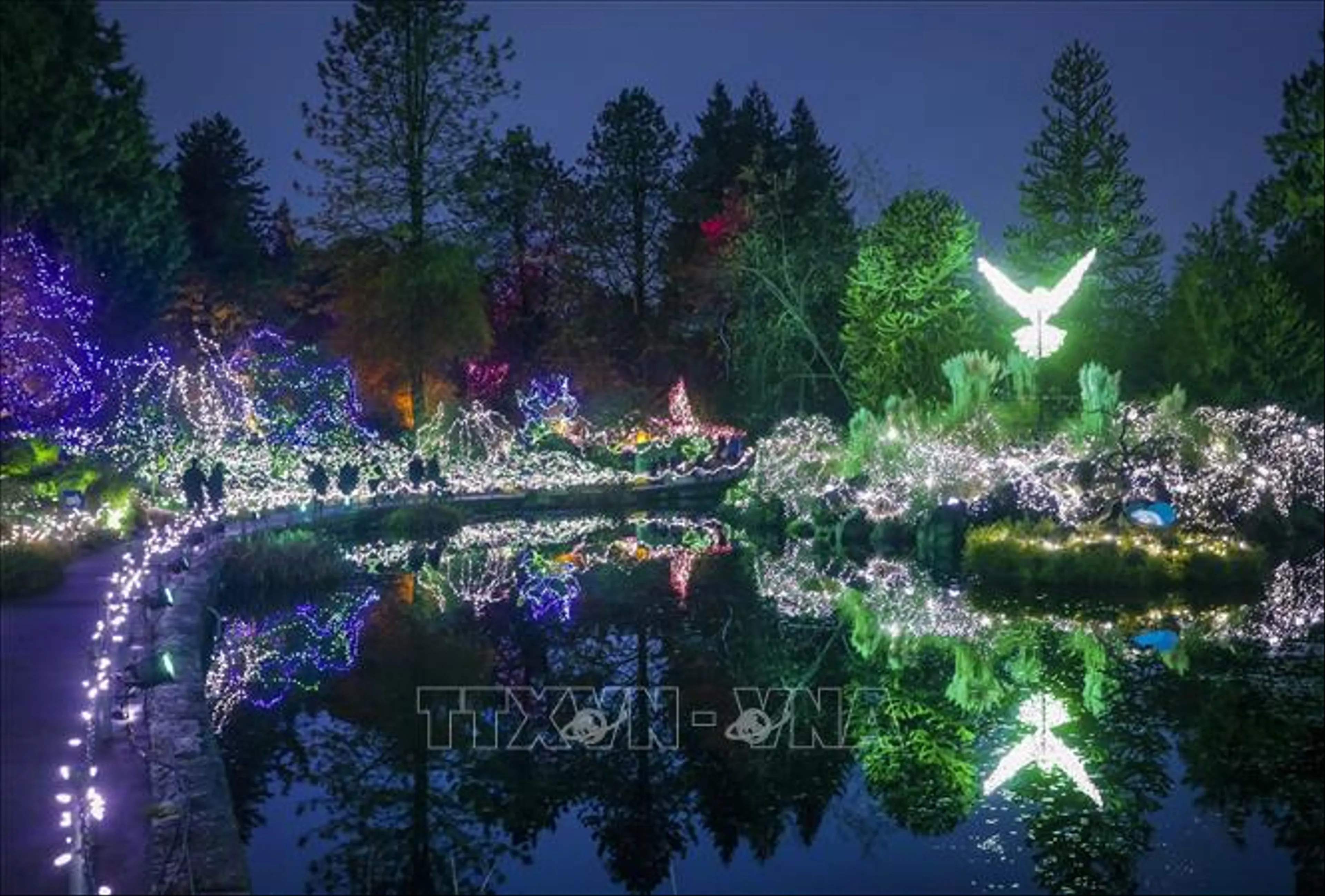 Trải Nghiệm Lễ Hội Ánh Sáng Ở Vườn Butchart, Canada: Sự Kỳ Diệu Của Mùa Đông
