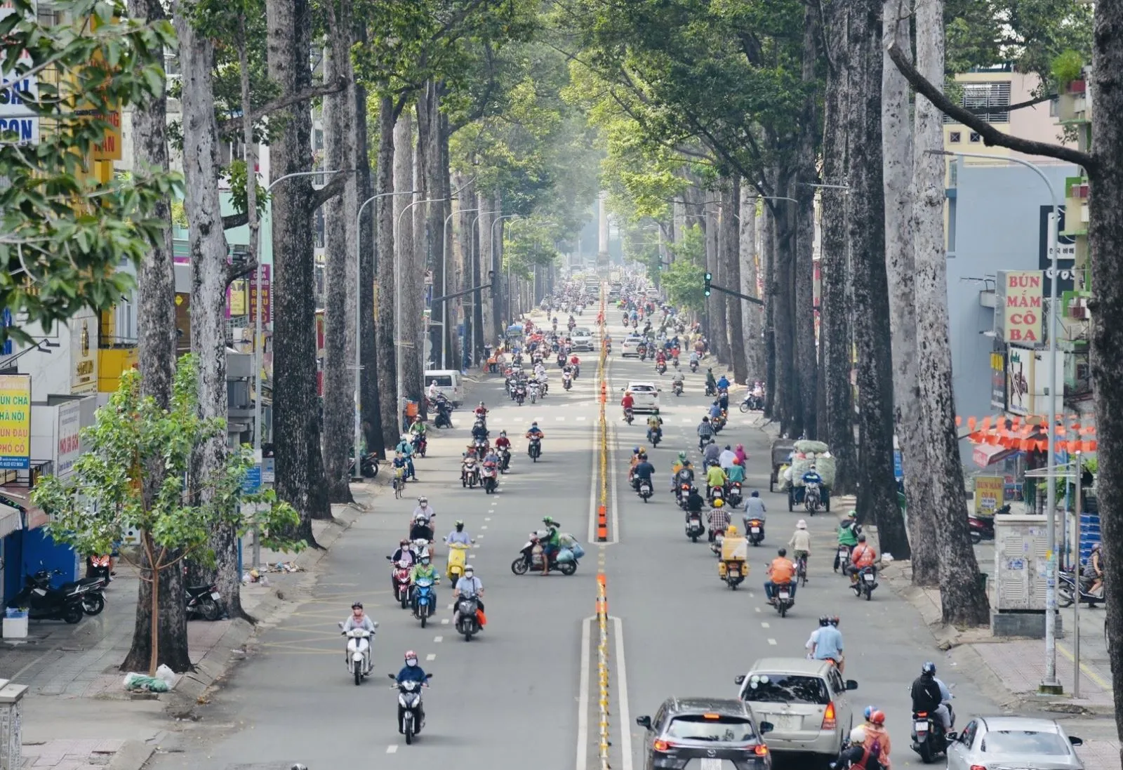 Thời gian hoạt động và cách di chuyển
