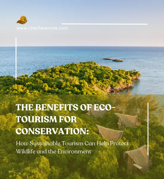 Conservation Efforts and Sustainable Tourism