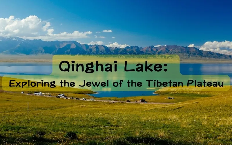 Embracing Tradition in the Tibetan Plateau