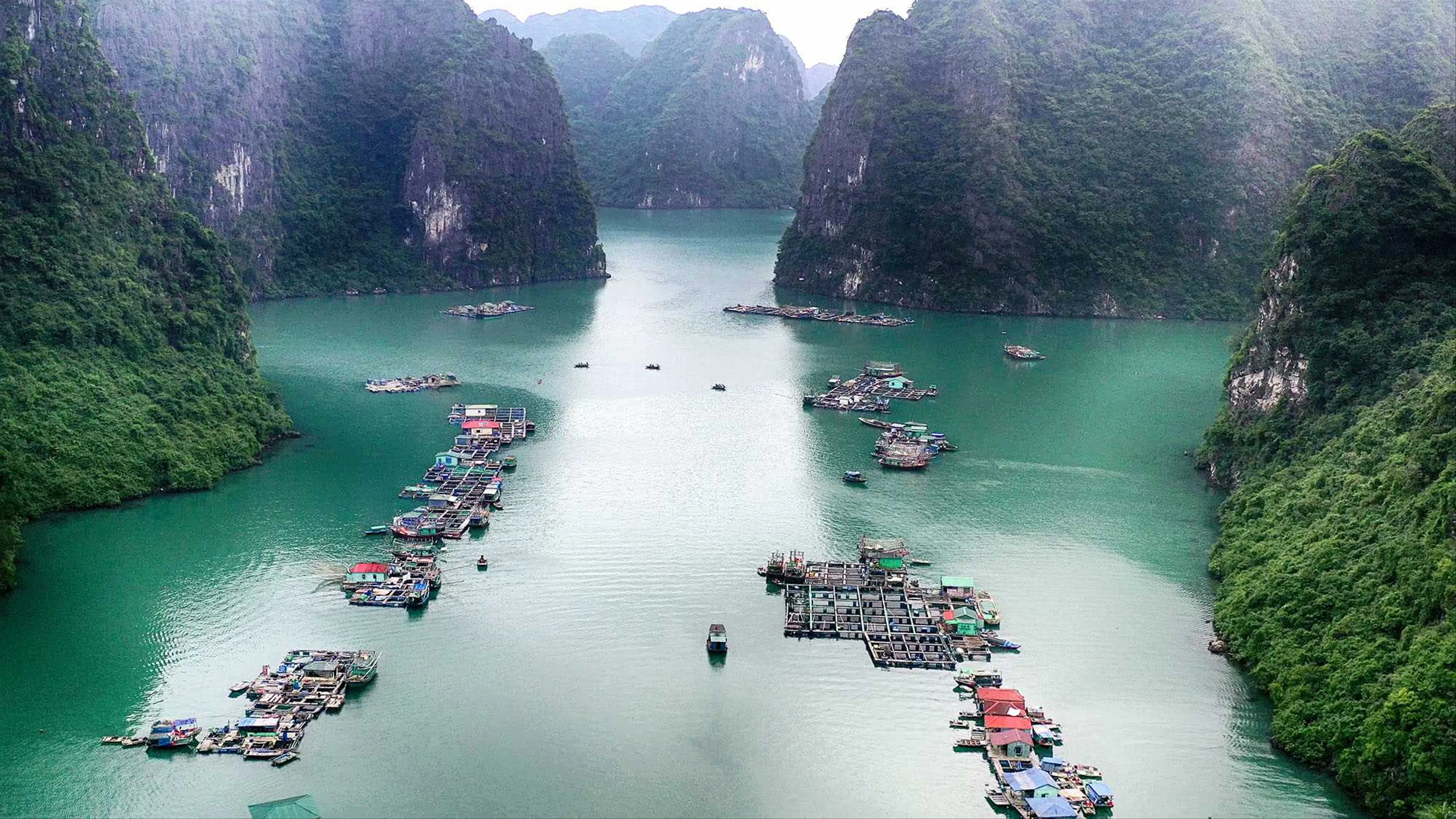 Khám phá làng chài Cửa Vạn: Cuộc sống nổi trên mặt nước