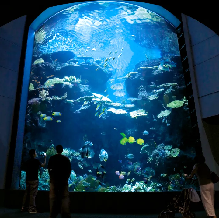 SEA LIFE Bangkok Ocean World - Trazy, Your Travel Shop for Asia