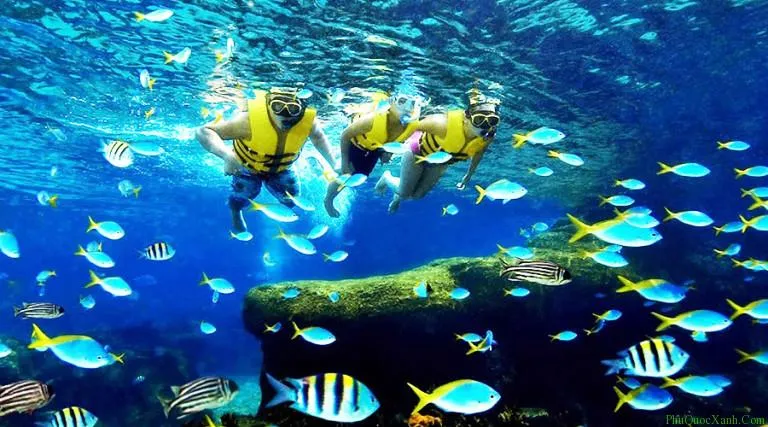 Tour lặn ngắm san hô bán đảo Sơn Trà